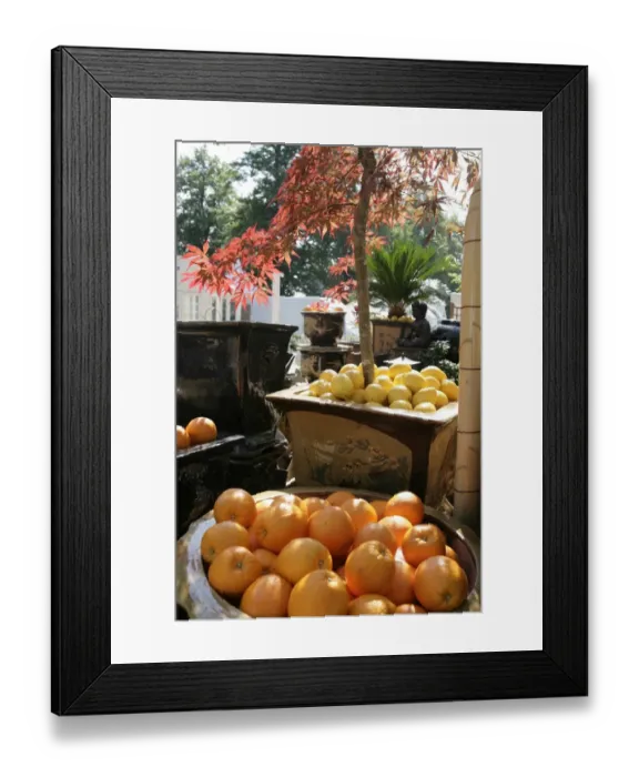 Framed Print : Hampton Court Flower Show Framed Print : Hampton Court Flower Show