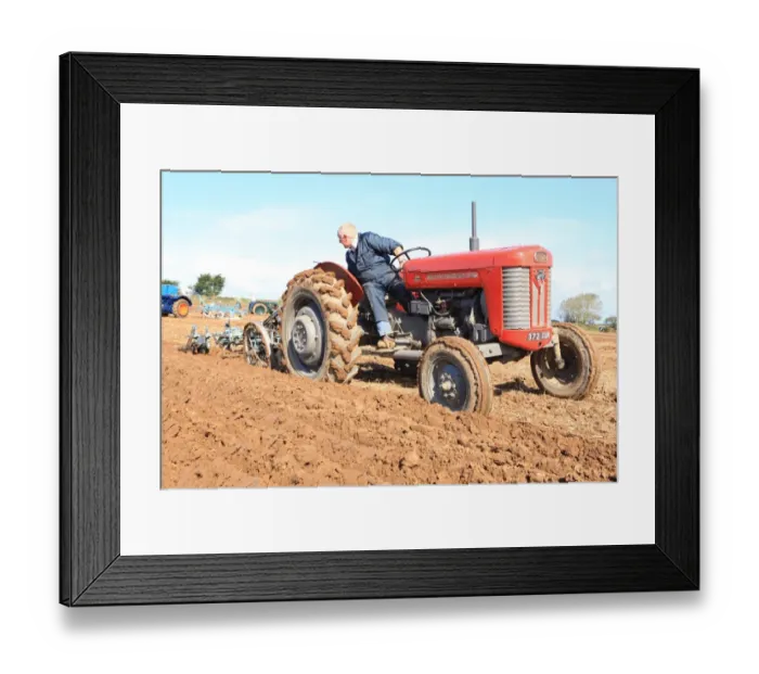 Framed Print : Ploughing Match Framed Print : Ploughing Match