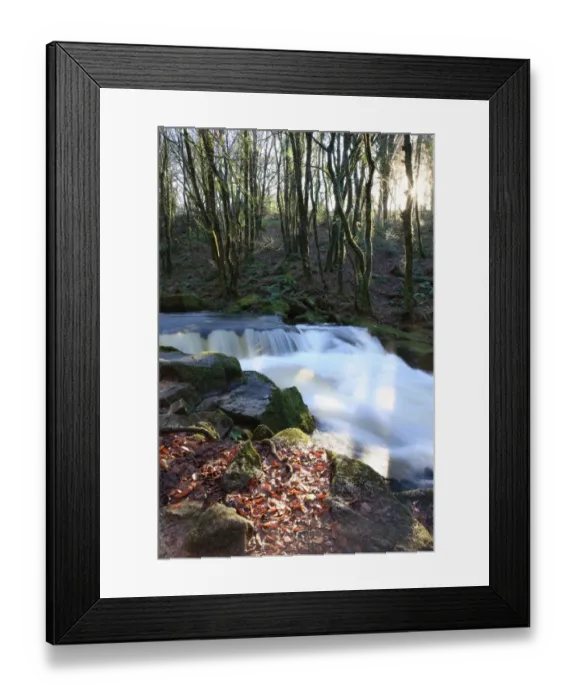 Framed Print : Golitha Falls Framed Print : Golitha Falls