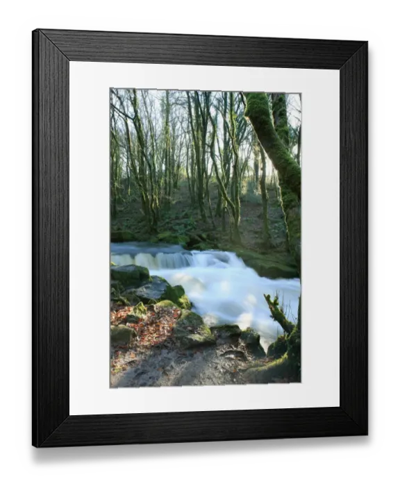 Framed Print : Golitha Falls Framed Print : Golitha Falls
