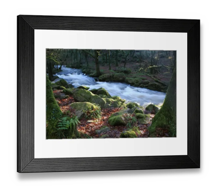 Framed Print : Golitha Falls Framed Print : Golitha Falls