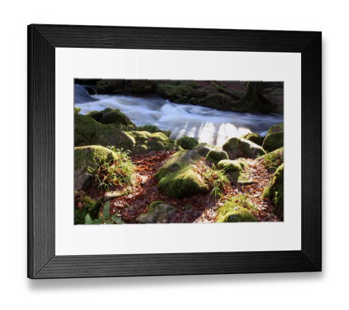 Framed Print : Golitha Falls Framed Print : Golitha Falls