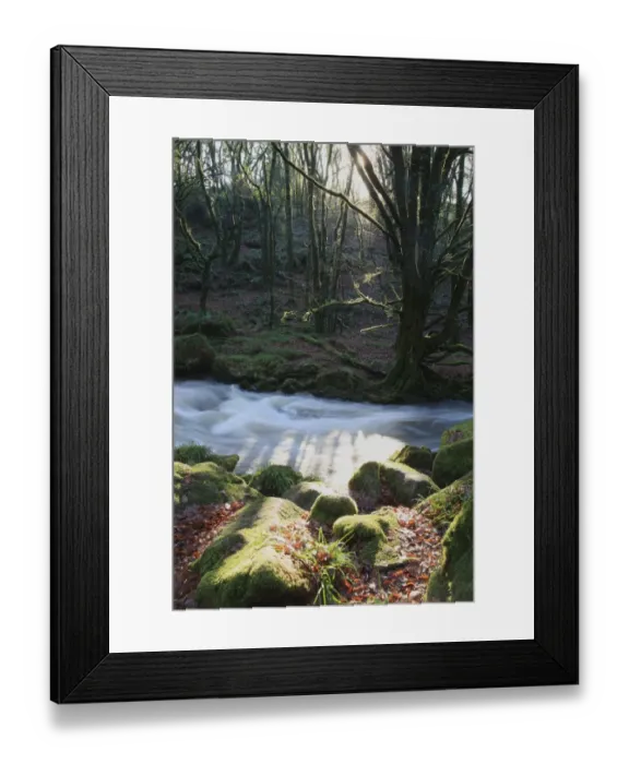 Framed Print : Golitha Falls Framed Print : Golitha Falls