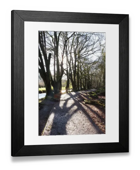 Framed Print : Winters Day