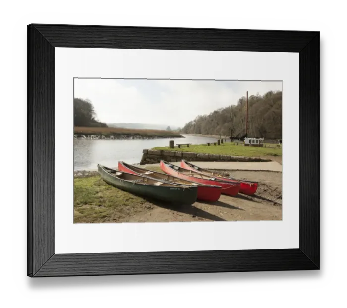 Framed Print : Canoes beside the River Tamar Framed Print : Canoes beside the River Tamar