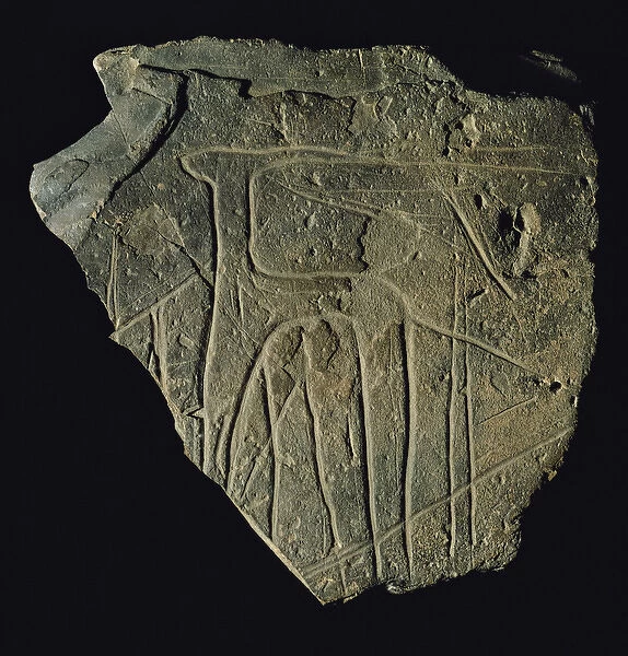 Antelope engraved on a stone plaque. Neolithic. National Arc