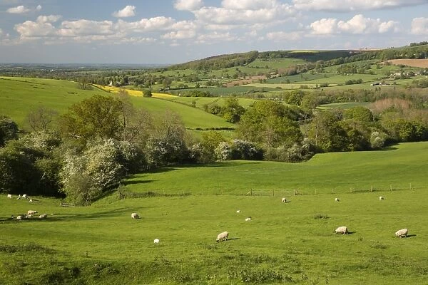 Cotswold landscape, near Winchcombe, Cotswolds, Gloucestershire, England, United Kingdom, Europe