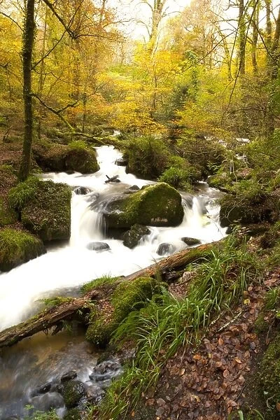 Autumn Water Falls. The water falls in the Kennall Vale Nature Reserve