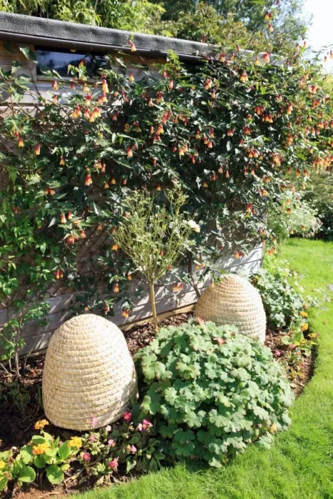 Framed Print : Bee Skeps. Bee-Skeps which are bee hives made