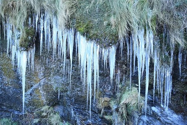 Boscastle. Icicles on the wall around the harbour at Boscatle