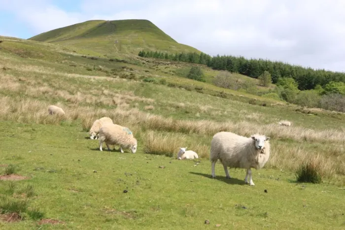 Framed Print : Brecon Beacons