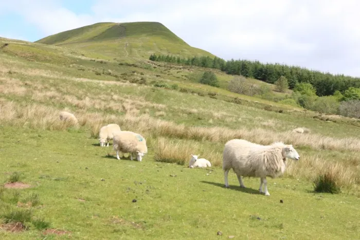 Framed Print : Brecon Beacons