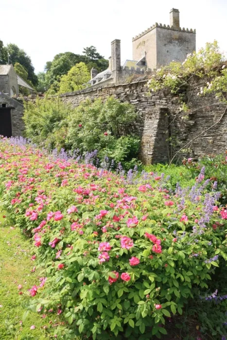 Framed Print : Buckland Abbey