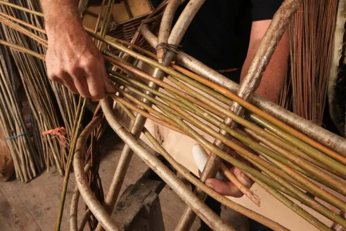 Framed Print : Corracles. Peter Faulkner building Coracles in his workshop at Leintwardine Shropshire Framed Print : Corracles. Peter Faulkner building Coracles in his workshop at Leintwardine Shropshire