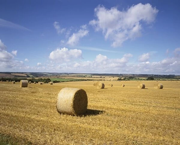 Cotswold Harvest. Harvest time in the cotswolds near Northleach GloucestershireGLOCESTERSHIRE