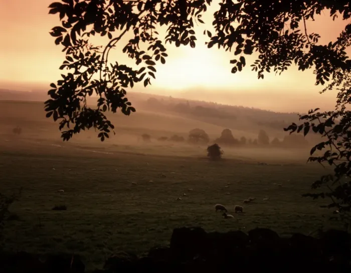 Framed Print : Cotswolds. Early morning in a cotswold valley near Northleach Framed Print : Cotswolds. Early morning in a cotswold valley near Northleach