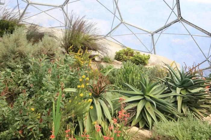 Framed Print : Eden Project Framed Print : Eden Project