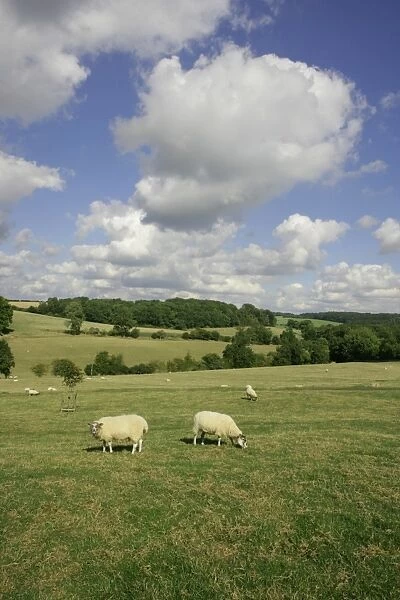 Farmington. summers afternoon near the village in the cotswold hamlet of
