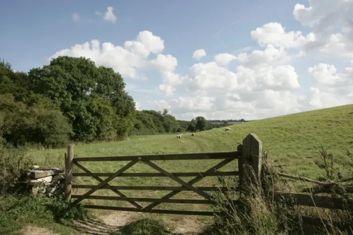 Framed Print : Farmington Framed Print : Farmington