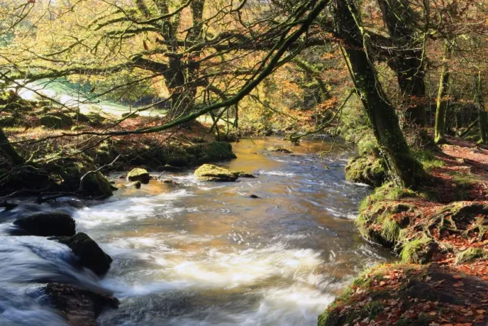 Framed Print : Golitha Falls Framed Print : Golitha Falls