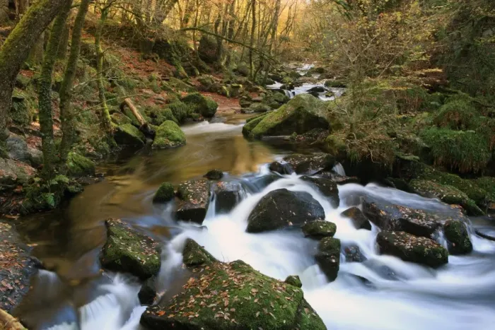 Framed Print : Golitha Falls Framed Print : Golitha Falls