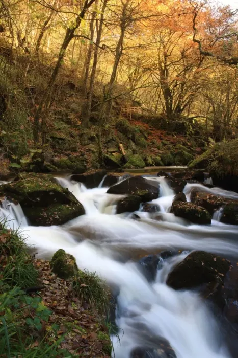 Framed Print : Golitha Falls Framed Print : Golitha Falls