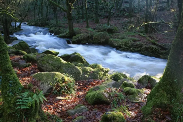 Framed Print : Golitha Falls Framed Print : Golitha Falls