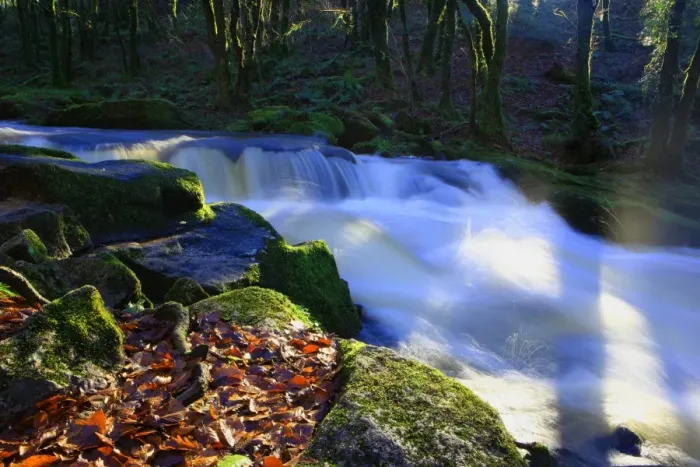 Framed Print : Golitha Falls Framed Print : Golitha Falls