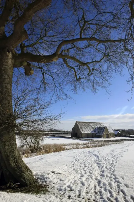 Framed Print : Great Coxwell Barn