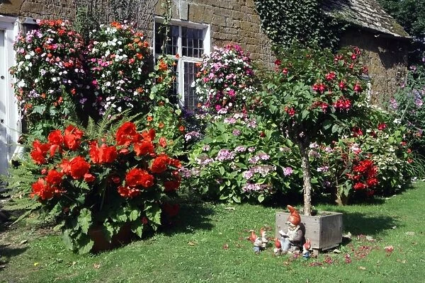 Gret Tew. Cottage garden in the Oxfordshire village of Great Tew on a summers day