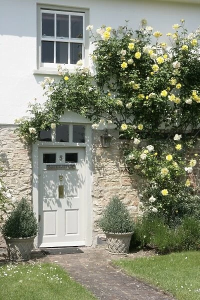 Haddenham. A house with roses around the door in the village of Haddenham Buckinghamshire