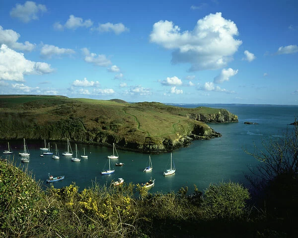 Solva. The harbour at Solva on the Pembrokeshire Coast in Wales with ite fishing