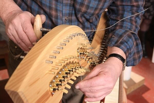 Harps. Harp maker Allan Shiers at The Harp Centre of Wales, at Llandysul Wales