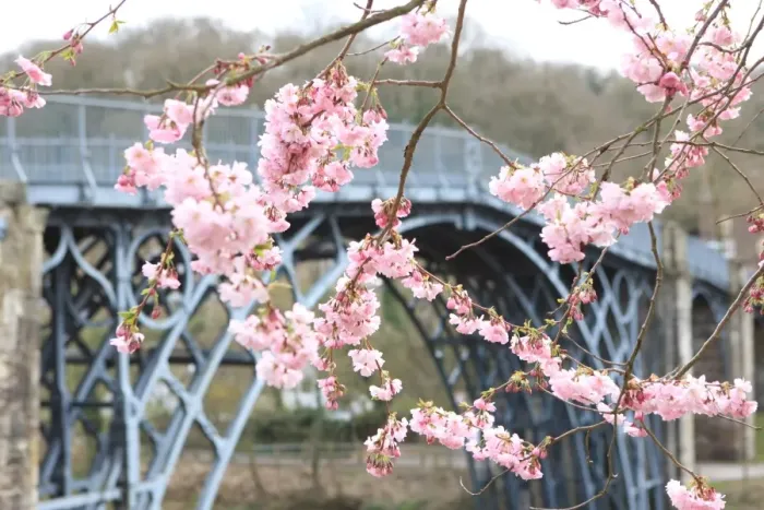 Framed Print : Ironbridge
