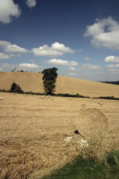 Framed Print : Late Summer in the Cotswolds Framed Print : Late Summer in the Cotswolds