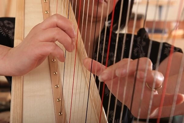 Harps. A new Harp being tested at The Harp Centre of Wales, at Llandysul Wales