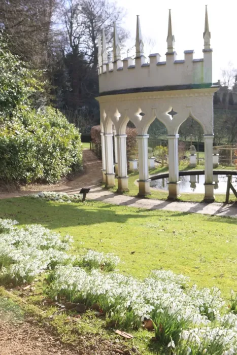 Framed Print : Painswick. Snowdrops at the Rococo Gardens Painswick Framed Print : Painswick. Snowdrops at the Rococo Gardens Painswick