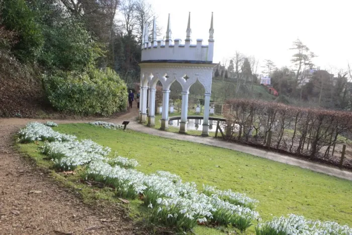Framed Print : Painswick. Snowdrops at the Rococo Gardens Painswick Framed Print : Painswick. Snowdrops at the Rococo Gardens Painswick