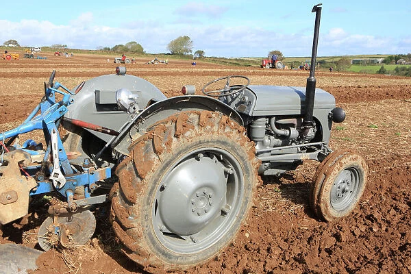 Ploughing Match. Vintage Massey Ferguson ( Little Grey Fergie ) tractor