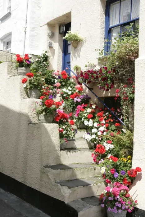 Framed Print : Polperro Cornwall