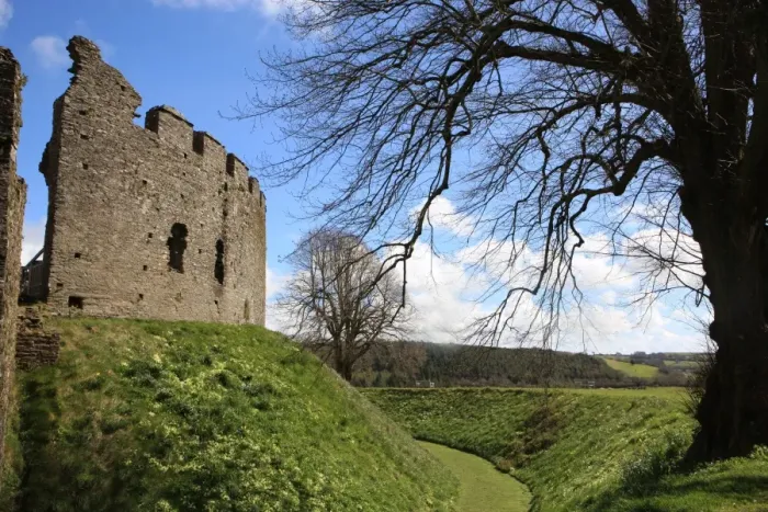 Framed Print : Restormel castle Framed Print : Restormel castle