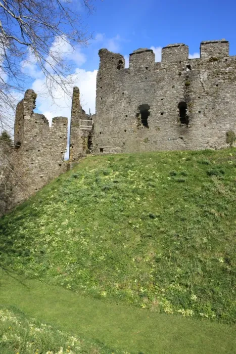 Framed Print : Restormel castle Framed Print : Restormel castle