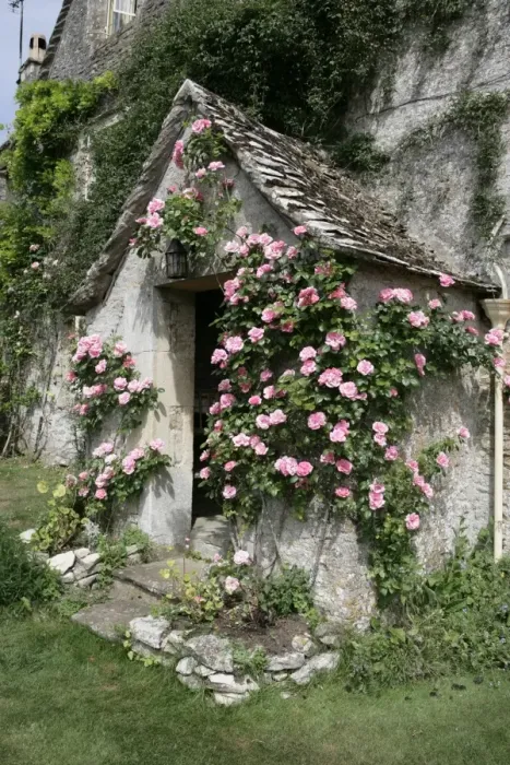 Framed Print : Roses around a door way of an old Farmhouse in the cotswold hamlet of Calmsden