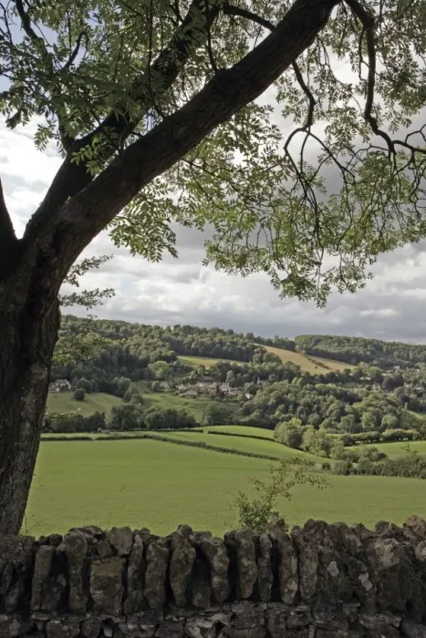Framed Print : Slad. A valley near the cotswold village of Slad on a summers day Framed Print : Slad. A valley near the cotswold village of Slad on a summers day