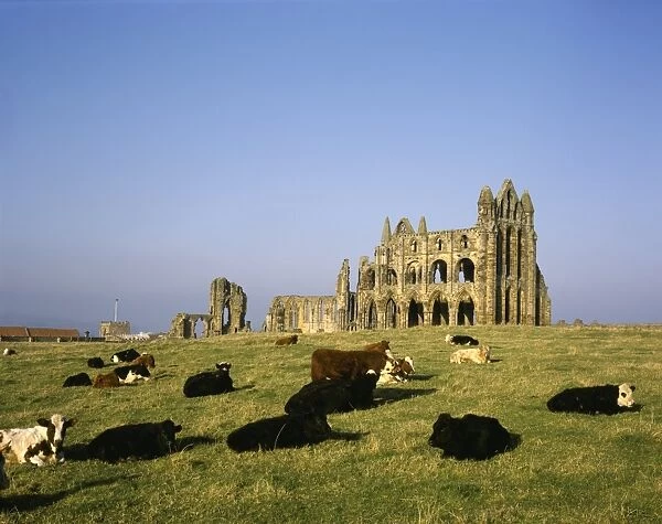 Whitby. Ruins on the Abbey at Whitby in North Yorkshire high above the