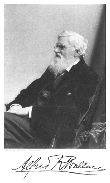 Alfred Russell Wallace (1823-1913) Welsh-born British naturalist. From Edward Clodd