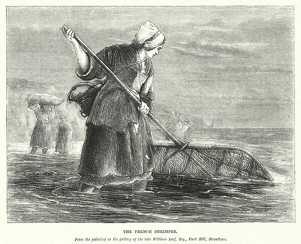 The French Shrimper (engraving)