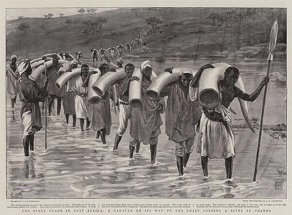 The Ivory Trade in East Africa, a Caravan on its Way to the Coast fording a River in Uganda (litho)