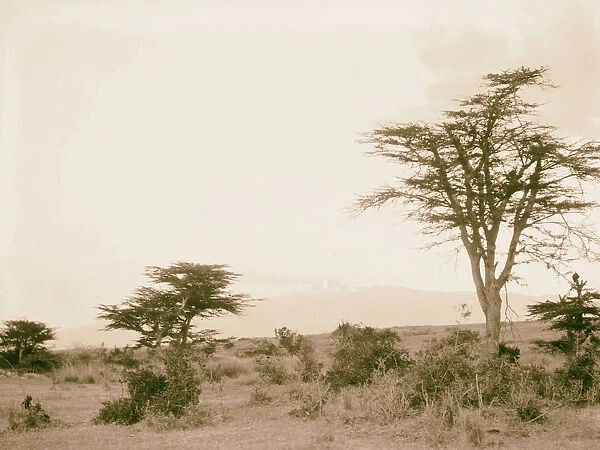 Kenya Mt 1936 Kenya