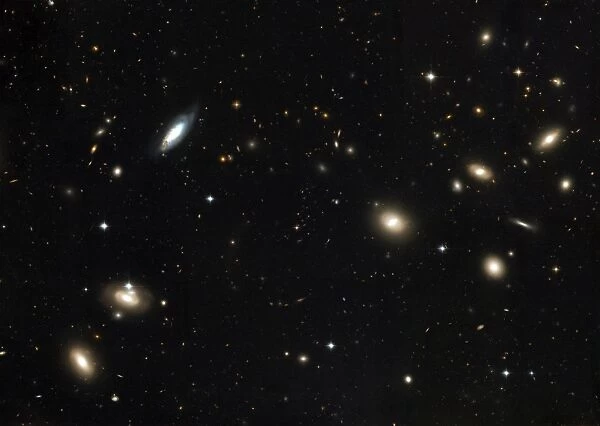 Coma Cluster of galaxies
